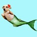 Buyer Avatar