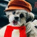 Buyer Avatar