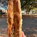 BredNFed