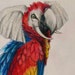 Buyer Avatar