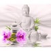 NiViPartha avatar