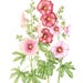 tracyhowellbotanical