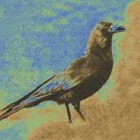SilverCrow