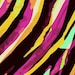 ZebraDiscoDesigns