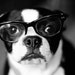 Review author