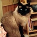 karen avatar