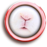 LollyandMeForever