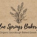 BlueSpringBakery