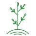 Little Tree Food Forest and Publications