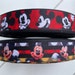 EmiRibbon