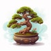 WilliamsNatureShop