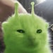 GnarpKnapCrafts