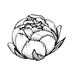 thepaperpeony avatar