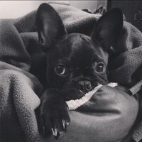 littlemisslyssy
