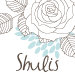 shulis avatar