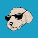 PopularDoodle