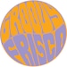 GroovyFrisco