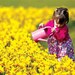 Daffodils