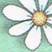 M.C