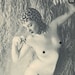 Buyer Avatar