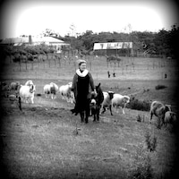 EthicalWool