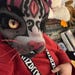 Buyer Avatar