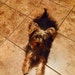 Chrissy Bee avatar