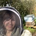 QueenBeeHC
