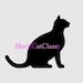 BlackCatClassy