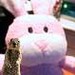 Buyer Avatar