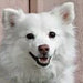 Penny Goodman avatar
