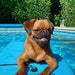 Buyer Avatar