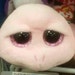 Buyer Avatar