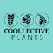coollectiveplants