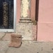 where the sidewalk ends shoes