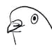 wonkypigeon