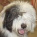 June Campbell avatar