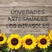 ARTEGIRASOL