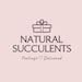 NaturalSucculents