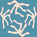 HCTShirtDesigns