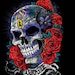 Buyer Avatar