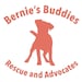 Bernie's Buddies Rescue and Advocates
