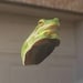 Buyer Avatar