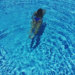 Nicole Gines avatar