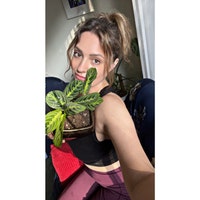 LinneaBorealisPlants
