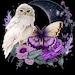 MoonBeamsJewels