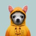 Christy avatar