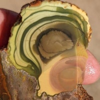 therockcollector