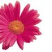 amwheeler7 avatar