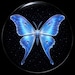 Buyer Avatar